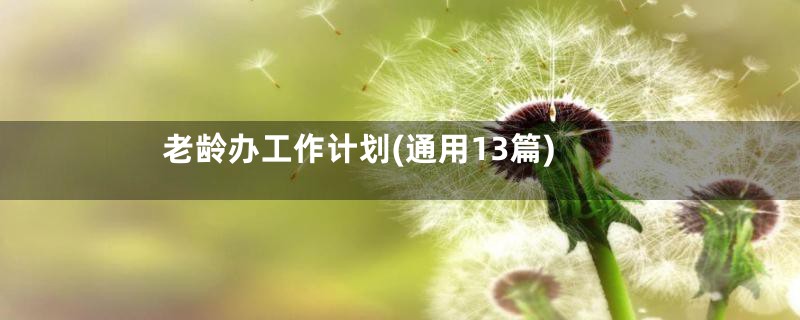 老龄办工作计划(通用13篇)