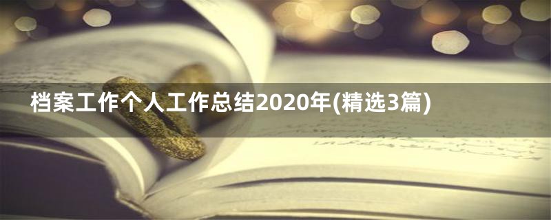 档案工作个人工作总结2020年(精选3篇)