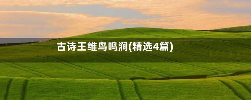 古诗王维鸟鸣涧(精选4篇)