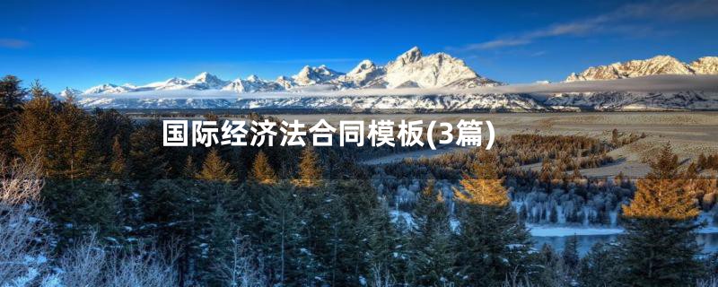 国际经济法合同模板(3篇)