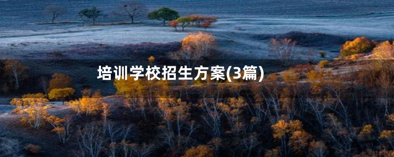培训学校招生方案(3篇)