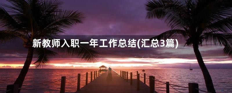 新教师入职一年工作总结(汇总3篇)
