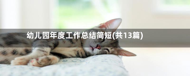 幼儿园年度工作总结简短(共13篇)