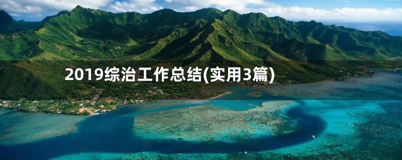 2019综治工作总结(实用3篇)