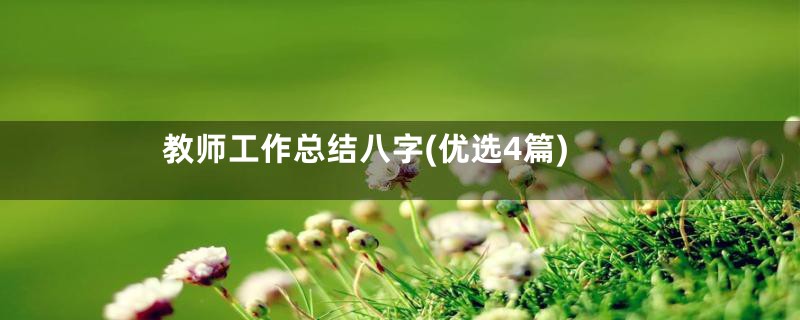 教师工作总结八字(优选4篇)