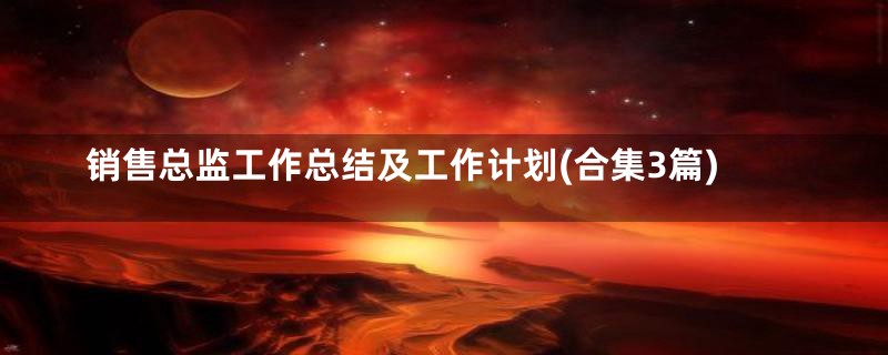 销售总监工作总结及工作计划(合集3篇)