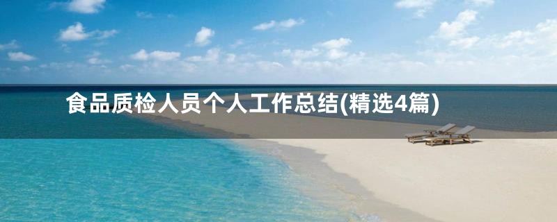 食品质检人员个人工作总结(精选4篇)