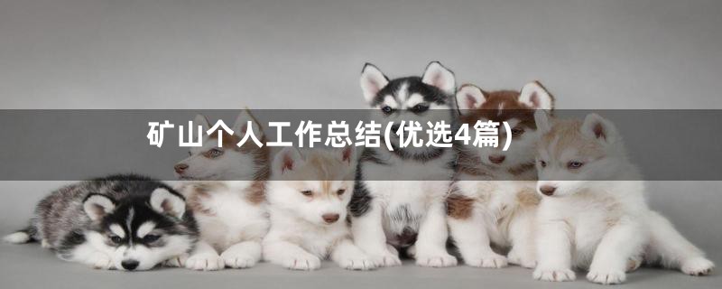 矿山个人工作总结(优选4篇)