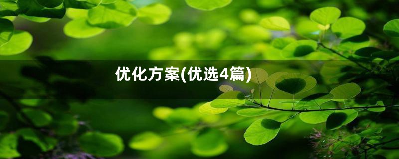优化方案(优选4篇)