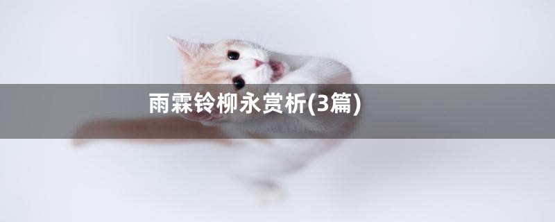 雨霖铃柳永赏析(3篇)