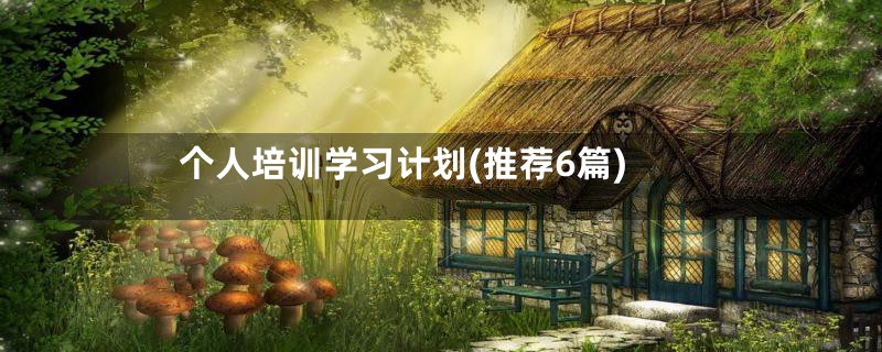 个人培训学习计划(推荐6篇)