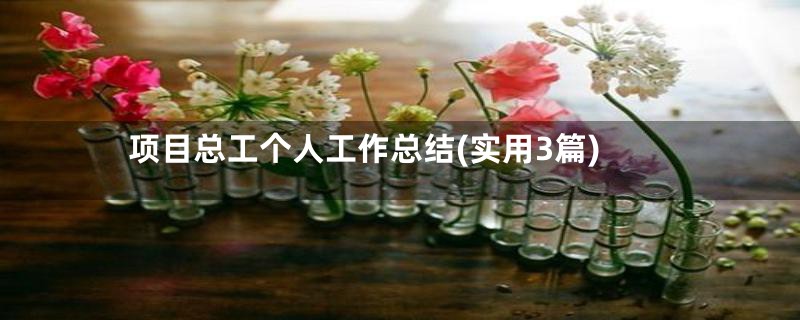 项目总工个人工作总结(实用3篇)