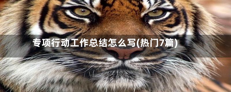 专项行动工作总结怎么写(热门7篇)