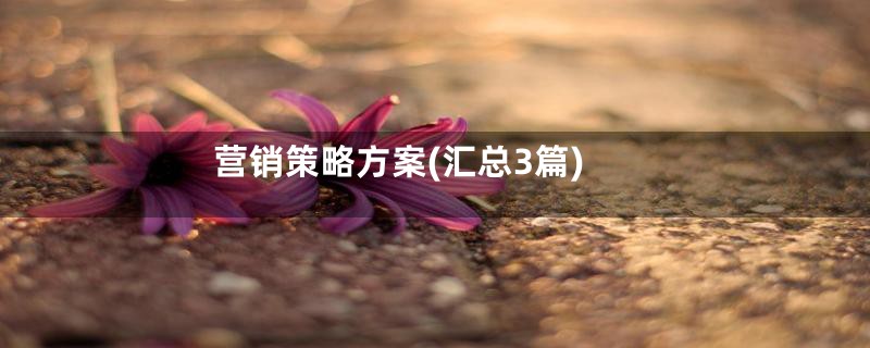 营销策略方案(汇总3篇)