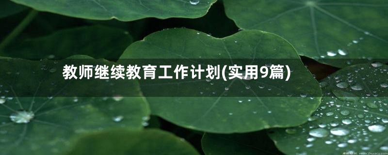 教师继续教育工作计划(实用9篇)
