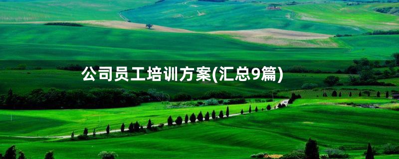 公司员工培训方案(汇总9篇)