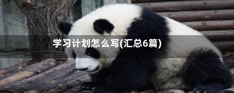 学习计划怎么写(汇总6篇)