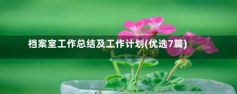 档案室工作总结及工作计划(优选7篇)