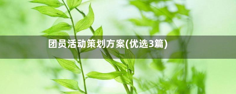 团员活动策划方案(优选3篇)