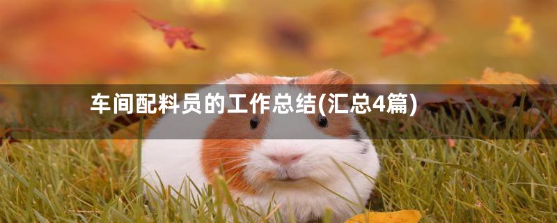 车间配料员的工作总结(汇总4篇)