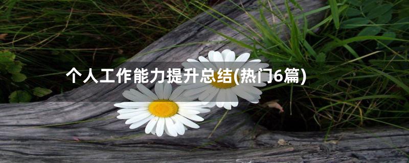 个人工作能力提升总结(热门6篇)