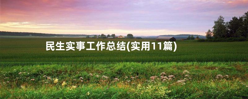 民生实事工作总结(实用11篇)