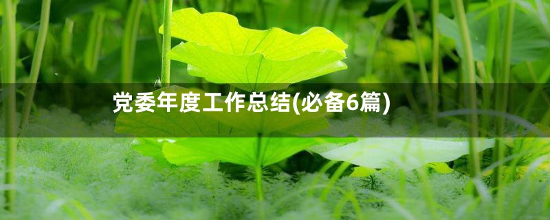 党委年度工作总结(必备6篇)