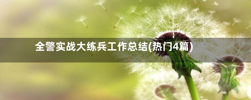 全警实战大练兵工作总结(热门4篇)