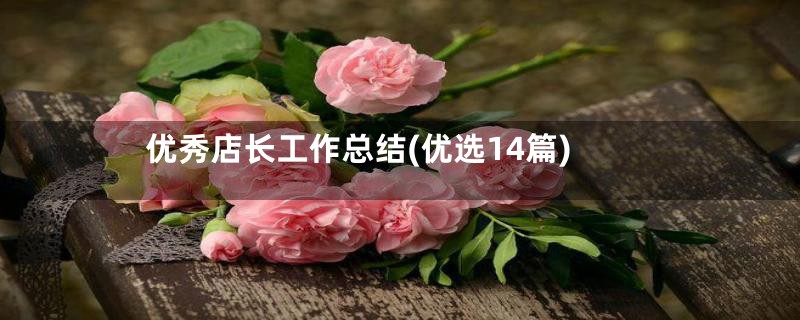 优秀店长工作总结(优选14篇)