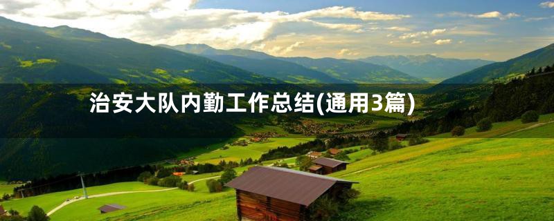 治安大队内勤工作总结(通用3篇)