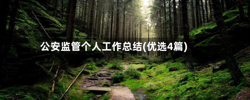 公安监管个人工作总结(优选4篇)