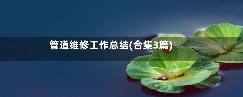 管道维修工作总结(合集3篇)
