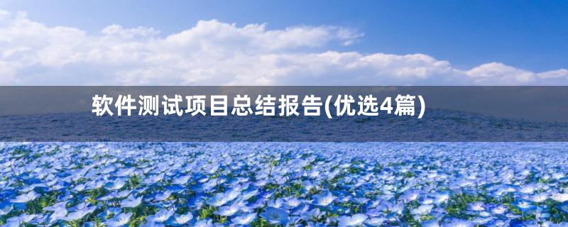软件测试项目总结报告(优选4篇)