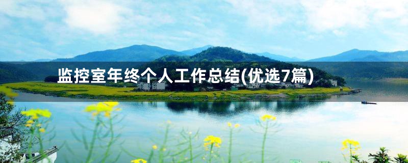 监控室年终个人工作总结(优选7篇)