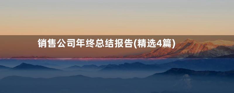销售公司年终总结报告(精选4篇)