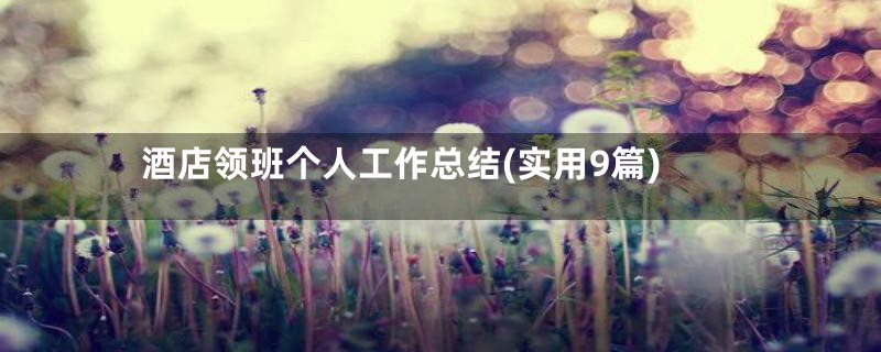 酒店领班个人工作总结(实用9篇)