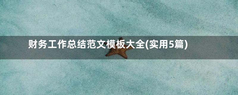 财务工作总结范文模板大全(实用5篇)