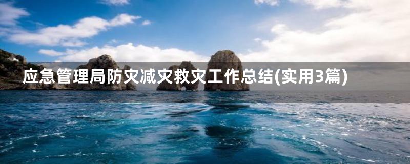 应急管理局防灾减灾救灾工作总结(实用3篇)