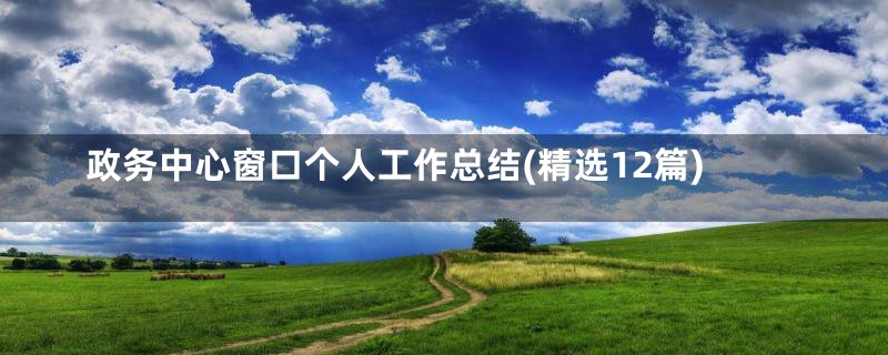 政务中心窗口个人工作总结(精选12篇)