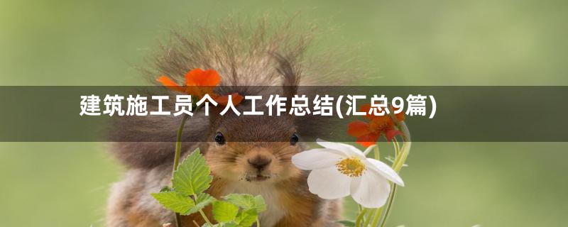 建筑施工员个人工作总结(汇总9篇)