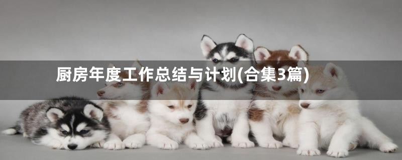 厨房年度工作总结与计划(合集3篇)