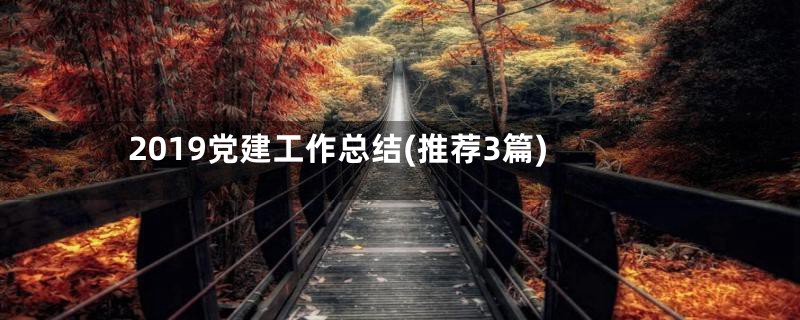 2019党建工作总结(推荐3篇)