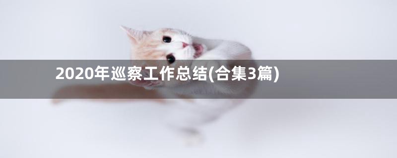 2020年巡察工作总结(合集3篇)