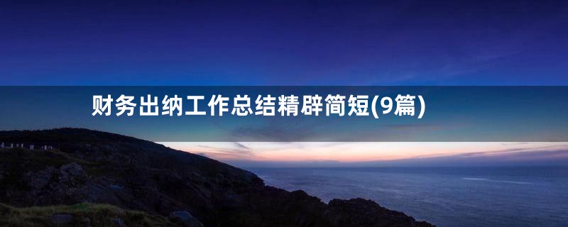 财务出纳工作总结精辟简短(9篇)