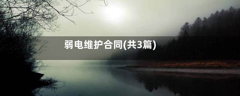 弱电维护合同(共3篇)