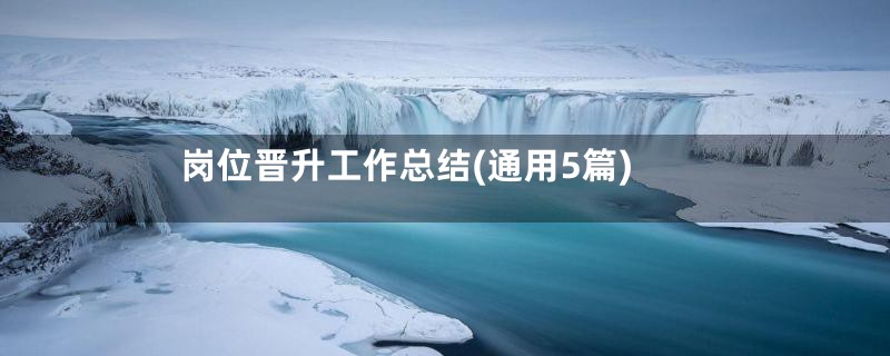 岗位晋升工作总结(通用5篇)