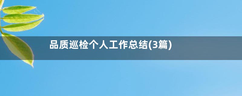 品质巡检个人工作总结(3篇)