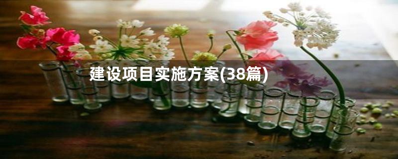 建设项目实施方案(38篇)