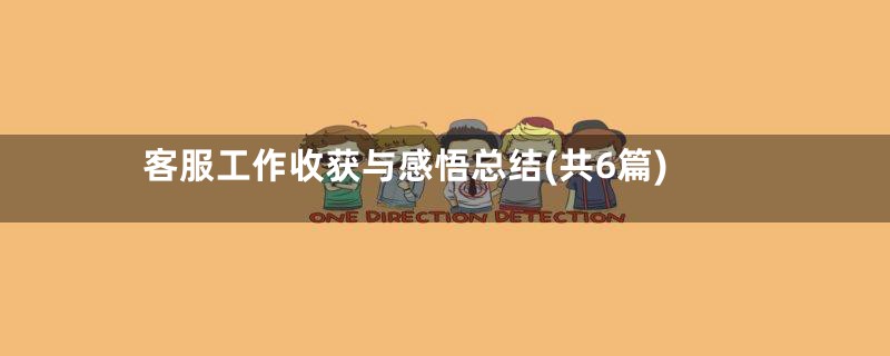 客服工作收获与感悟总结(共6篇)