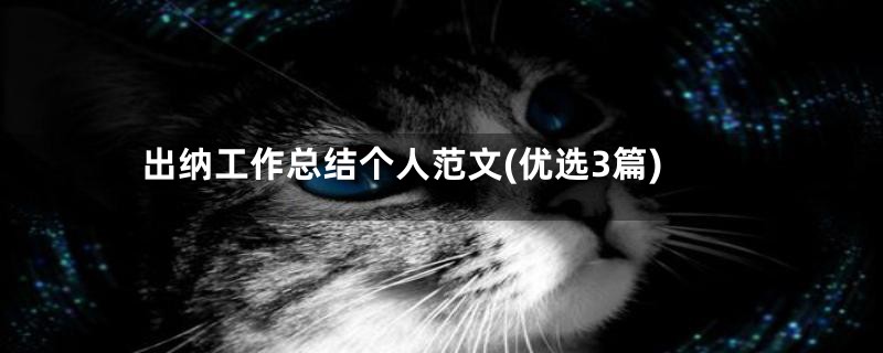 出纳工作总结个人范文(优选3篇)